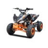 ATV Raptor 004 125 Roata pe 7" automat cadru mare ATV Raptor 004 125 Roata pe 7" automat cadru mare
