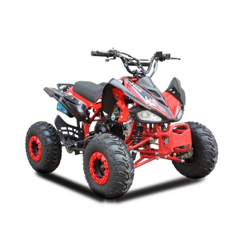ATV Raptor 004 125 Roata pe 7" automat cadru mare ATV Raptor 004 125 Roata pe 7" automat cadru mare