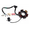 Magnetou cu 6 bobine cu fire Magnetou cu 6 bobine cu fire