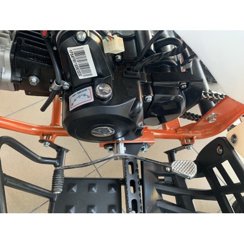 ATV Raptor 125 Roata pe 8" Pro ATV Raptor 125 Roata pe 8" Pro